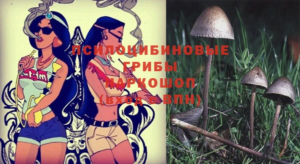спиды Алексеевка