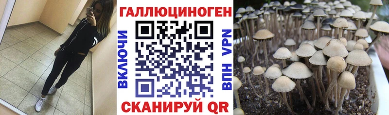 Псилоцибиновые грибы MAGIC MUSHROOMS Ставрополь